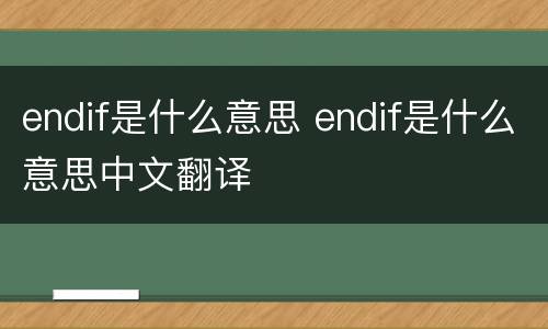endif是什么意思 endif是什么意思中文翻译