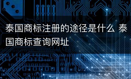 泰国商标注册的途径是什么 泰国商标查询网址