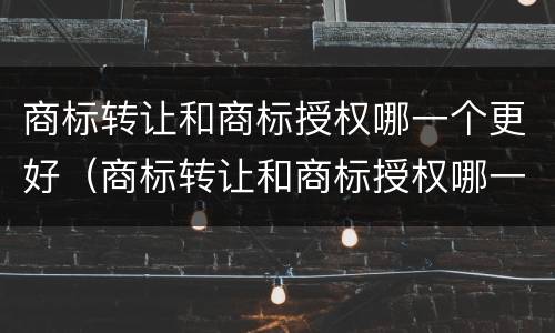 商标转让和商标授权哪一个更好（商标转让和商标授权哪一个更好一些）