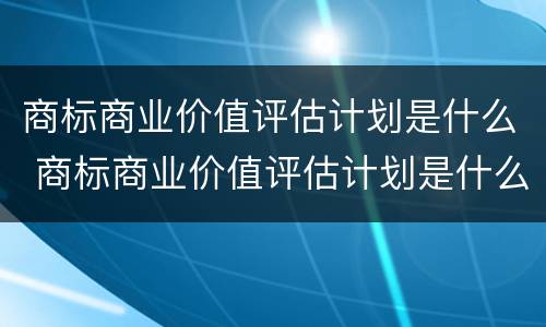 商标商业价值评估计划是什么 商标商业价值评估计划是什么内容