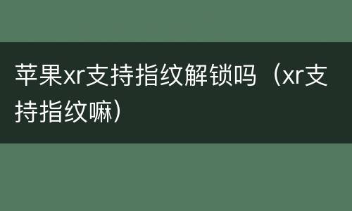 苹果xr支持指纹解锁吗(xr支持指纹嘛)