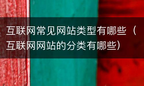 互联网常见网站类型有哪些（互联网网站的分类有哪些）