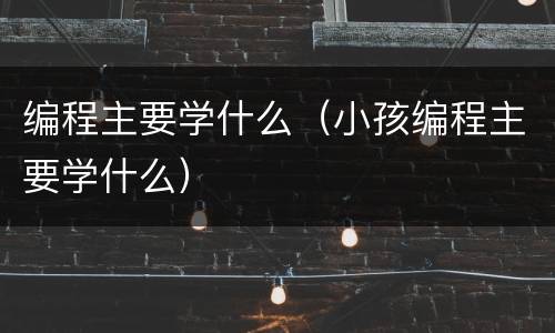 编程主要学什么（小孩编程主要学什么）