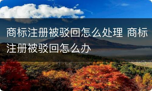 商标注册被驳回怎么处理 商标注册被驳回怎么办