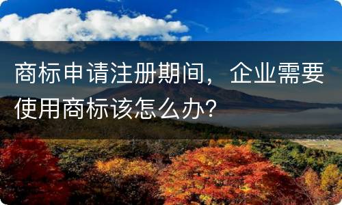商标申请注册期间，企业需要使用商标该怎么办？