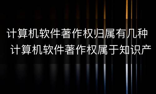 计算机软件著作权归属有几种 计算机软件著作权属于知识产权吗?