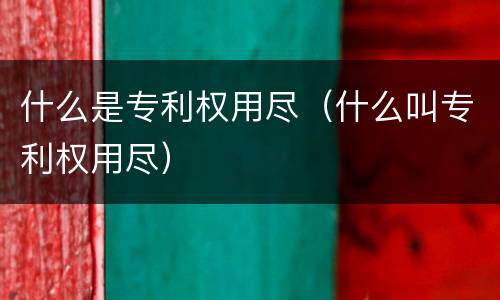 什么是专利权用尽（什么叫专利权用尽）