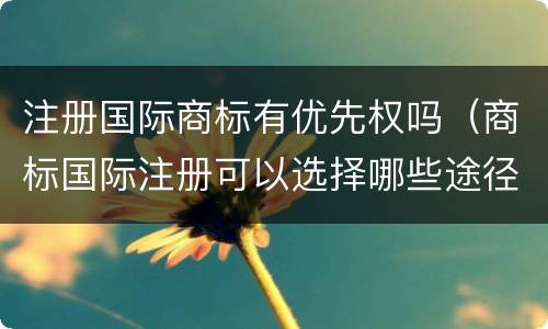 注册国际商标有优先权吗（商标国际注册可以选择哪些途径）