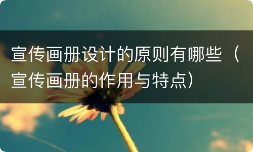 宣传画册设计的原则有哪些（宣传画册的作用与特点）