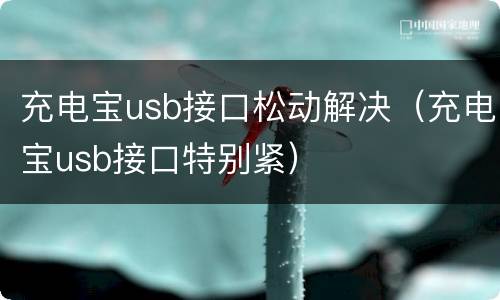 充电宝usb接口松动解决（充电宝usb接口特别紧）