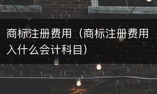 商标注册费用（商标注册费用入什么会计科目）