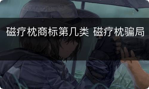 磁疗枕商标第几类 磁疗枕骗局