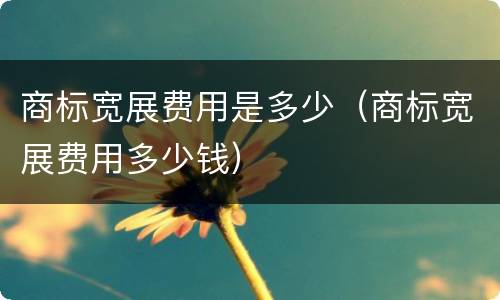 商标宽展费用是多少（商标宽展费用多少钱）