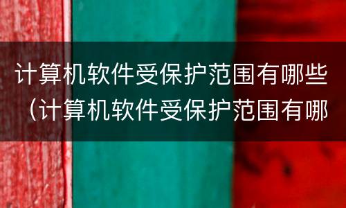 计算机软件受保护范围有哪些（计算机软件受保护范围有哪些类型）