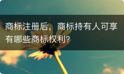 商标注册后，商标持有人可享有哪些商标权利？