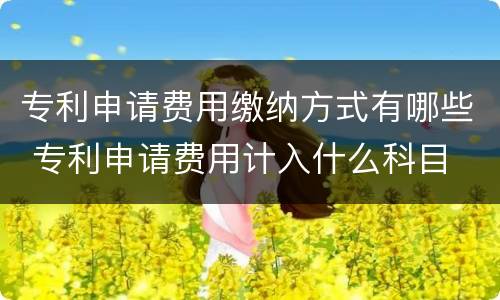 专利申请费用缴纳方式有哪些 专利申请费用计入什么科目