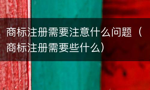 商标注册需要注意什么问题（商标注册需要些什么）