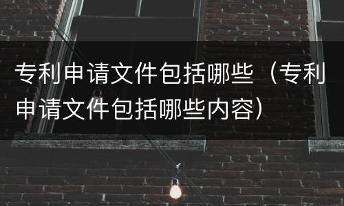 专利申请文件包括哪些（专利申请文件包括哪些内容）