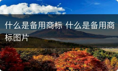 什么是备用商标 什么是备用商标图片