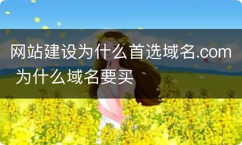 网站建设为什么首选域名.com 为什么域名要买