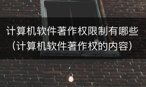 计算机软件著作权限制有哪些（计算机软件著作权的内容）