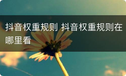 抖音权重规则 抖音权重规则在哪里看