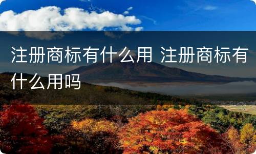 注册商标有什么用 注册商标有什么用吗