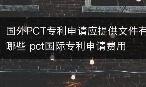 国外PCT专利申请应提供文件有哪些 pct国际专利申请费用