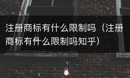 注册商标有什么限制吗（注册商标有什么限制吗知乎）