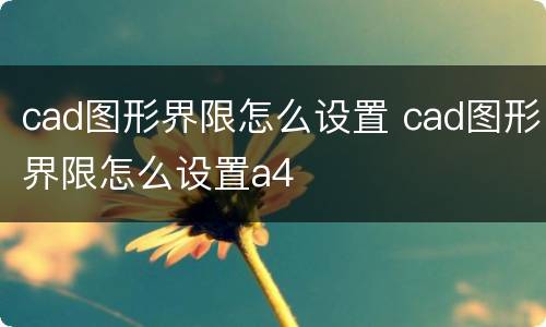 cad图形界限怎么设置 cad图形界限怎么设置a4