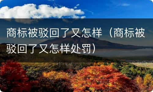 商标被驳回了又怎样（商标被驳回了又怎样处罚）