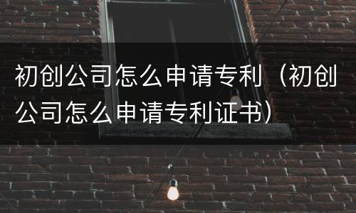 初创公司怎么申请专利（初创公司怎么申请专利证书）