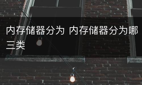 内存储器分为 内存储器分为哪三类