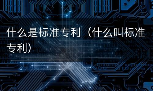 什么是标准专利（什么叫标准专利）