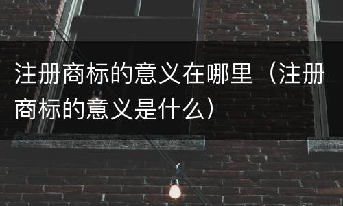注册商标的意义在哪里（注册商标的意义是什么）
