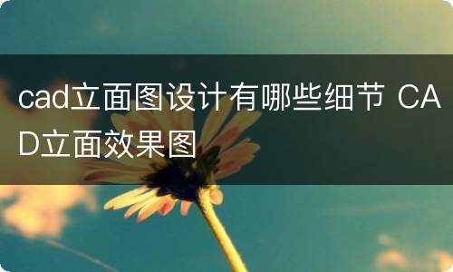 cad立面图设计有哪些细节 CAD立面效果图