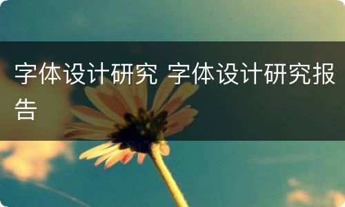 字体设计研究 字体设计研究报告