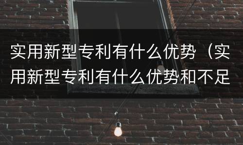 实用新型专利有什么优势（实用新型专利有什么优势和不足）