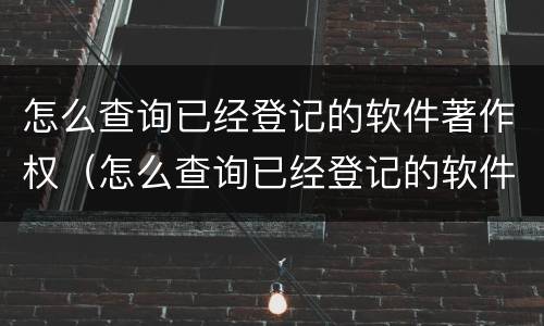 怎么查询已经登记的软件著作权（怎么查询已经登记的软件著作权信息）