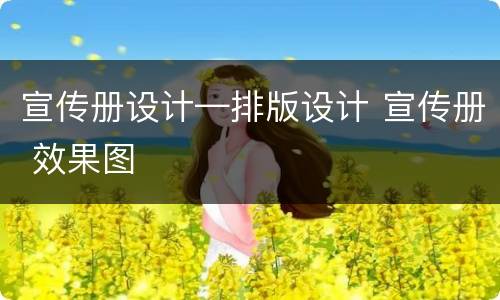 宣传册设计—排版设计 宣传册 效果图