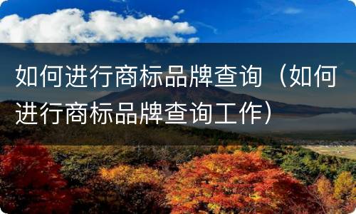 如何进行商标品牌查询（如何进行商标品牌查询工作）