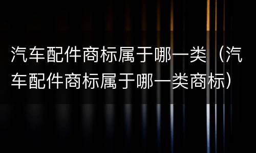 汽车配件商标属于哪一类（汽车配件商标属于哪一类商标）