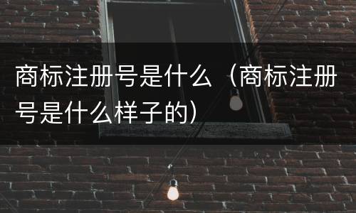 商标注册号是什么（商标注册号是什么样子的）