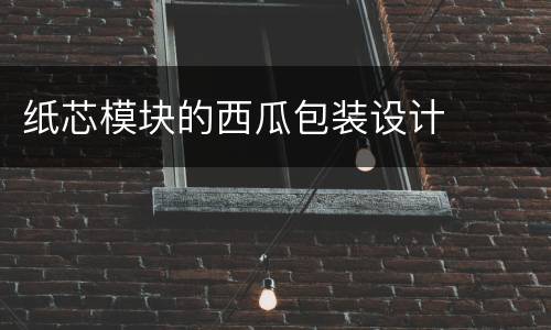 纸芯模块的西瓜包装设计