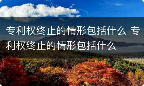 专利权终止的情形包括什么 专利权终止的情形包括什么