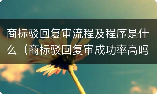 商标驳回复审流程及程序是什么（商标驳回复审成功率高吗）