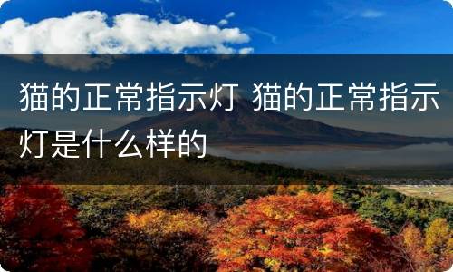 猫的正常指示灯 猫的正常指示灯是什么样的