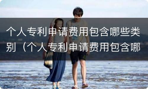 个人专利申请费用包含哪些类别（个人专利申请费用包含哪些类别的）
