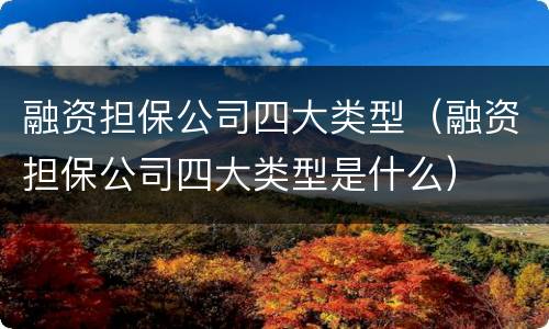 融资担保公司四大类型（融资担保公司四大类型是什么）
