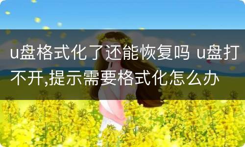 u盘格式化了还能恢复吗 u盘打不开,提示需要格式化怎么办